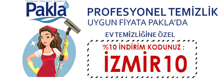 Profesyonel Ev Temizliği Profesyonel Ev Temizliği